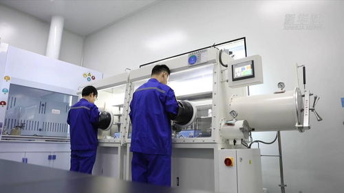 淄博科技向新引领产业向高 信息技术咨询服务驱动企业转型升级