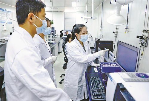 厦门 发展高端高能产业，培育高质量创新主体，企业信息技术咨询服务赋能新质生产力