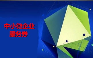 300万元额度来袭 中小微企业信息技术咨询服务券火热申领中